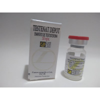 Testenat - (Enantato de testosterona 250mg/ml)
