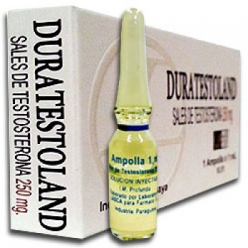 Durateston - Landerlan - Durateston - 1ml - 250mg